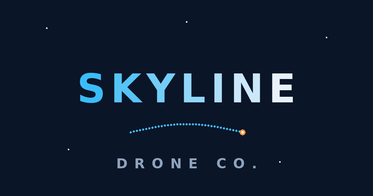 Skyline Drone Co. website concept preview